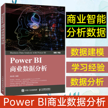 Power BI business data analytics