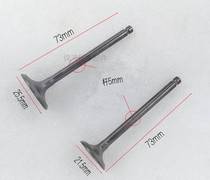 Scooter WH100T-H-G Little princess Youyue joy SCR100 valve guide intake and exhaust valve oil seal