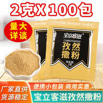 Baoli Cumin Powder Spreading 2g * 100 Pack Cumin Powder Barbecue Seasoning Small Package Chicken Chop Spreading Commercial