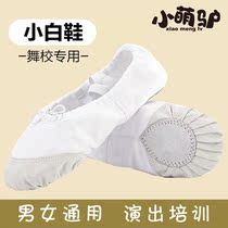 White dance shoes for children and girls soft-bottom practice shoes dancing shoes adult mens cat claw shape classical ballet shoes