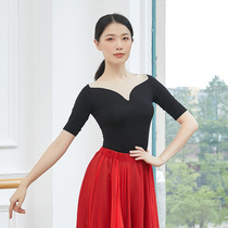 Classical dance clothing adult body rhyme basic training service Chinese dance ancient style performance clothing mesh splicing body etiquette