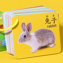 Digital cards tear 1 to 100 recognition toys A full set of kindergarten baby teaching aids to recognize words Early education artifact