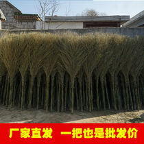 Household broom bamboo broom garden outdoor Road Sanitation broom Miscanthus broom