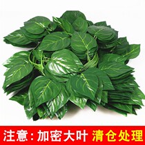 False leaf green simulation leaf plastic fake flower rattan green vine strip large green leaf green plant pipe decorative cover