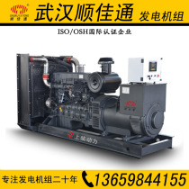 250KW kilowatt Shangchai share power brushless diesel generator set(Wuhan Hubei)