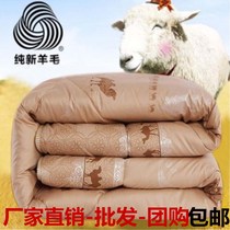Thickened camel hair quilt camel cashmere quilt autumn and winter camel hair quilt quilt quilt