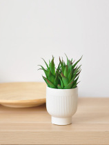 Simulation Succulent Plants Bonsai colorful Flowerpot Table set small potted home office greening decoration art385