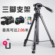 Yunteng 691 SLR camera tripod Hydraulic damping PTZ professional Canon Nikon Sony Camcorder DV video tripod Mobile phone live video bracket Multi-function portable set