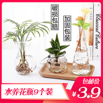 Transparent glass bottle hydroponic plant container green flower small vase dried flower arrangement living room ornaments decorative flower pot
