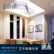 Line art glass Acrylic organic translucent ceiling Simple living room entrance corridor aisle ceiling customization