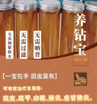 Raise the diamond treasure turtle the white eye the cold pneumonia the prevention of the drill rutin