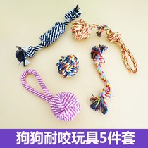 Dog bite-resistant toy pet cat dog toy grinding rope knot toy back ball interactive toy bite toy