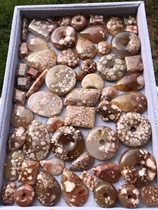 Sakura Agate Bull Blood Blood Popcorn Water Drop Square Brand Ping Buckle Bread Button Small Accessories Custom Pendant