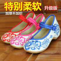 Dance performance embroidered shoes girls old Beijing cloth shoes ethnic style traditional cloth shoes princess shoes baby Chinese style shoes