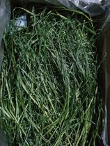 Over 6821 years new grass boutique Timothy grass Super Green Rabbit Hay 1kg hot spot