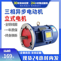 Vertical motor 380V flange three-phase copper AC Motor 1 1 1 5 2 2 3 4 5 5 11KW