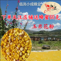 Ma Xiaocheng bee farm self-produced corn bee pollen natural edible sieved dry clean not sweet not broken wall
