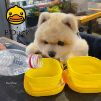 BeartoffyPet authorized pet cat and dog bowl out portable kettle folding bowl dog food basin