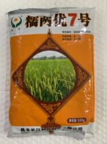 Glutinous rice glutinous rice seed glutinous rice seed 7 500 gr rice seed 500 gr bags
