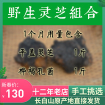 Changbai Mountain wild Ganoderma lucidum health Birch Birch Beetle Beetle tongue flat cover Ganoderma lucidum Linzhi