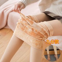 Autumn and winter plus velvet thickened nine points wearing pantyhose plus fat special size fat MM high waist integrated warm leggings