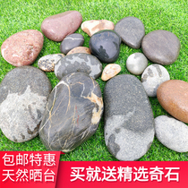 Natural turtle basking platform climbing platform stone large landscape pebbles turtle tank floating island basking stone climbing pet fish tank landscaping