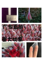 Rose Flower Cover Mesh Fresh Flower Mesh Sleeve Moon Season Flower Stereotyped Mesh Sleeve Nylon Plastic Mesh Cover Protection Flower Bud Flower Mesh Sleeve