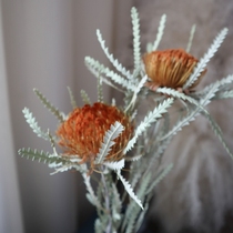 Imported dried flowers high-quality natural dried flower bouquet living room decoration real flower gold pagoda home decoration Nordic style