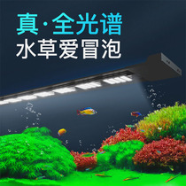 yee fish cylinder lamp led waterproof lighting full spectrum aquatic straw lamp explosion algae bracket grass cylinder diving special lamp