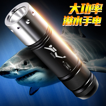 SANJICHA strong light flashlight underwater diving Special Catch fish night dive out to sea rescue underwater shooting