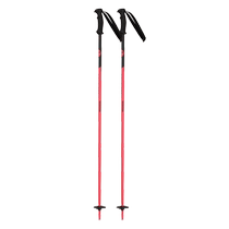  ROSSIGNOL GOLDEN ROOSTER childrens BOY professional double board ski snow stick