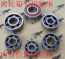 WH100T little Princess 100 joy Youyue motorcycle tail teeth rear shaft drive gearbox bearing