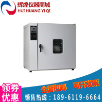 Electric constant temperature blast drying oven Industrial oven High temperature oven dryer Laboratory thermal aging box direct sales