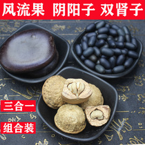 Guangxi Wild Wind Fruit Double Kidney Yin Yang Son Combination Male Nourishing Chinese Medicinal Liquor