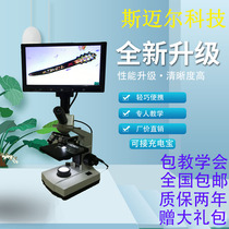 Facial mite Insect Detector Beauty Institute observes the skin-tested Scalp Mite instrument HD Microscope Portable