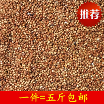 Pigeon grain young pigeon with skin red high grain farm pigeon food wine wine high beam rice 5kg pigeon feed pigeon grain