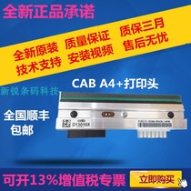 German CAB armor Boshi Aibi A4 200dpi 300dpi 600dpi point original print head