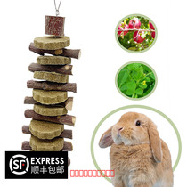 Hanging dried apple branch molars skewer snack alfalfa cake pet rabbit guinea pig ChinChin toy