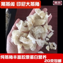 Indonesia birds nest dried big birds horn Imported gold silk shredded bulk pregnant women and the elderly nourishing nutrition collagen