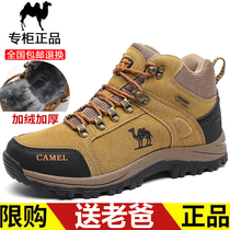 Janjaweed camel men's shoes winter plus velvet warm padded cotton shoes leather outdoor hiking shoes sports casual dad shoes