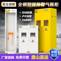 Tang Shan Explosion Proof Gas Cylinder Cabinet Double Bottle Laboratory Dangerous Gas Storage Cabinet Leak Alarm Acetylene Gas Safety Cabinet