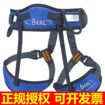 French imported BEAL AEROTEAM IV seat belt Blue