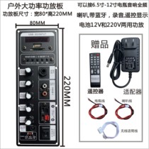 Square dance audio 12V battery power amplifier board 220V charging rod speaker with Bluetooth recording microphone motherboard