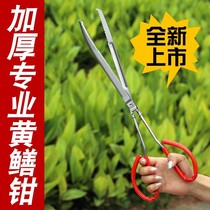 Stainless Steel Yellow Eel Clips Eel Fish Clip Mud Loach Crab Pliers Anti-Slip Anti-Arrest Special Raw Iron Catch-up Tool