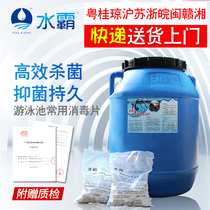Biyi Shuiba Swimming Pool Disinfectant Disinfectant Tablets Strong Chlorine 2 grams Pool Special Chlorine Disinfectant Powder Chlorine Pills
