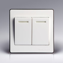 Thai Li switch socket simple elegant White two position dual control switch double Open dual control switch TL86TE-05
