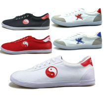 Qingdao Double Star Martial Arts-5 New Mens and Womens General Shoes Tai Chi Kung Fu Shoes