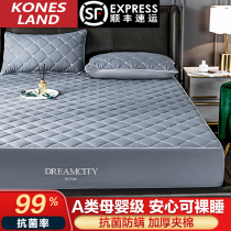 Class A antibacterial cotton bed hat thick bed cover in winter 1 2 single piece dustproof full package Simmons mattress protector DY