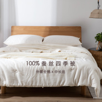 Day style A natural silk quilt with core spring and autumn air conditioning by all seasons pure color full cotton soft single double