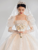 Long sleeve winter wedding dress 2021 new bride main yarn small man palace style high texture tailing tail cover arm
